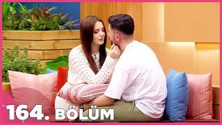 Kısmetse Olur: Aşkın Gücü | 164. Bölüm FULL