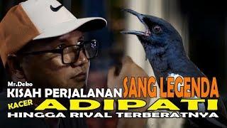 Kisah Perjalanan Sang Legenda Kacer ADIPATI Dan Rival Terberatnya