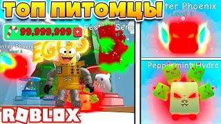 СИМУЛЯТОР ЖВАЧКИ САМЫЕ КРУТЫЕ ПИТОМЦЫ! В 2 РАЗА ДЕШЕВЛЕ ROBLOX BUBBLE GUM SIMULATOR