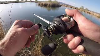 Crushing Some Largemouth Bass At The One Day Mason Valley Hatchery Pond Opener