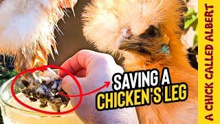 Operating on a Chicken Leg, to save her