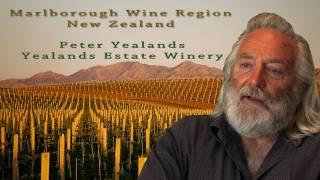 Marlborough Sauvignon Blanc Wine Region, New Zealand Travel Video Guide