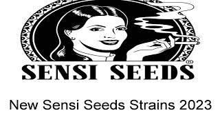 Sensi Seeds New Strains - 2023