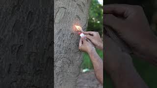 Survival Skills: Reuse broken lighter You Never Know.#survival#bushcraft #outdoors #lifehack#camping