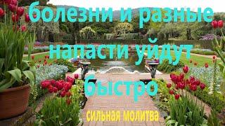 Молитва перед иконой Богородицы Ахтырская помогает от тяжелых болезней и от смертельных опасностей.