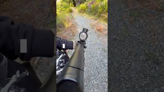 Crossman dpms sbr 4.5mm steel bb      #crossman #airgun #vortexoptics