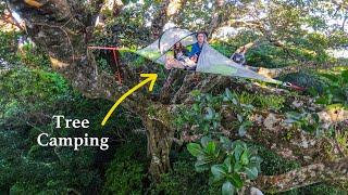 Overnight in a giant strangler fig tree with my girlfriend