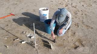 Restoring Hester Marsh - Elkhorn Slough - The Monterey Herald