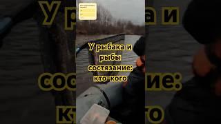 РЫБАК БЕЗ ФАНТАЗИИ, ЧТО РЫБА БЕЗ ХВОСТА) #рекомендации #fishing #щука #рыбалканащуку #рыбалка2024