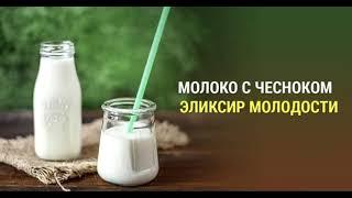 Молоко с чесноком - тибетский эликсир молодости