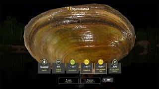 ТРОФЕЙНАЯ ПЕРЛОВИЦА НА ВЬЮНКЕ В РУССКОЙ РЫБАЛКЕ 4 РР4
