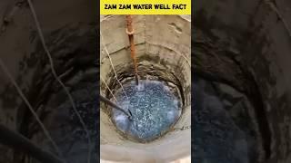 Zam zam water amazing fact | #amazingfacts #shortsfeed #shorts #zamzam #ytshorts #motivation #facts