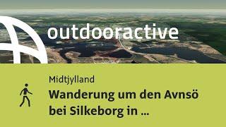 Wanderung in Midtjylland: Wanderung um den Avnsö bei Silkeborg in Jütland