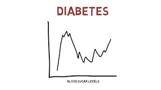 Diabetes and Your Pet