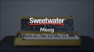 Moog Minimoog Model D Synthesizer Demo — Daniel Fisher