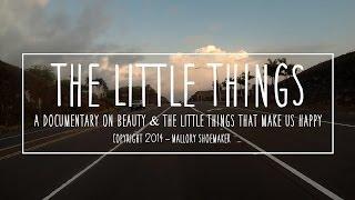 The Little Things -- A Documentary on Beauty by Mallory Shoemaker