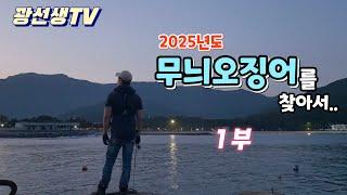 무늬오징어낚시/2025년도 '무늬오징어'를 찾아서.. 1부