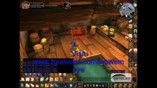 Destroying Stormwind on Wowempire private server