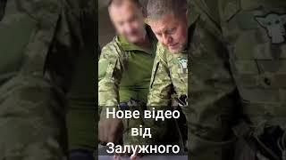 Нове відео від Залужного! #shorts