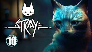 Stray • 10 • Мидтаун • Прохождение без комментариев