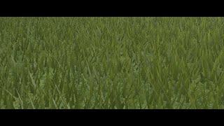 how to remove the grass in Roblox studio 2022