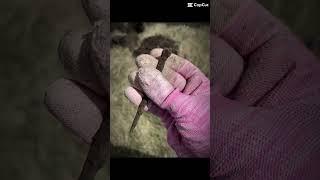 На досуге, в поисках старинных монет и не только. Деревня в окрестностях Алапаевска #чермет #коп
