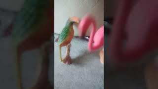 animals family and going to park restaurant