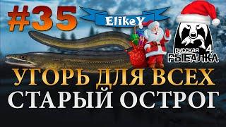 Угорь • Какие Секреты? • Прикорм на Угря • Фарм и Опыт • Старый Острог • Русская Рыбалка 4 #35