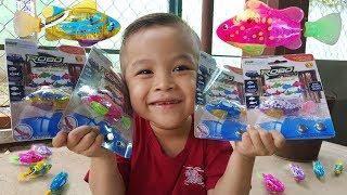 Đồ Chơi Con Cá Chạy Bơi  ChiChi ToysReview TV  Kids Baby Toys Fish