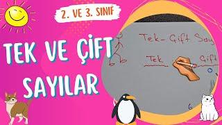 TEK ve ÇİFT SAYILAR * 2.- 3. SINIF MATEMATİK