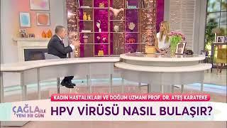 HPV Virüsü Nasıl Bulaşır? | Prof. Dr. Ateş KARATEKE