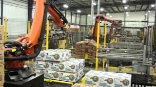 Robot Palletizing - Volmpack Equipment Solutions