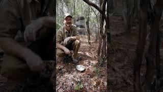 Make a water bottle survival water filter