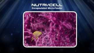 New Life Spectrum Nutri-Cell Coral SPS Encapsulated Micro Particle Food at Aquatica Aquarium Gallery