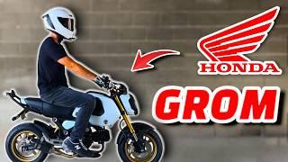 Honda Grom Test-Ride/Review | Watch this BEFORE you BUY a 125cc Beginner Bike