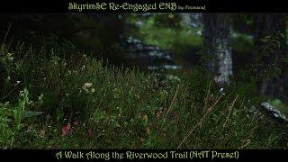 SkyrimSE Re-Engaged ENB-- Walk Along Riverwood Trail (NAT Preset)