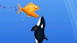 Tasty Blue - Predatory Fish Walkthrough Part 1 | Android Gameplay 2017 HD