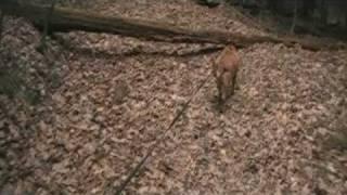 Texas Hollow Loop