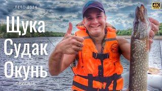 Рыбалка на Припяти | Ловля щуки, окуня, судака | Быт на природе