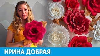 Создаём большие бумажные цветы | Короче, Омск #16