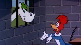 Woody’s Lucky Charm | 2.5 Hours of Classic Episodes of Woody Woodpecker