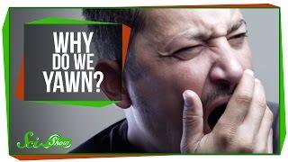 Why Do We Yawn?