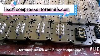 terminal plate DB165B-1match Bitzer compressor 6-20p