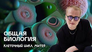 Биология ЦТ | Клеточный цикл. Митоз | Ян Менделеев