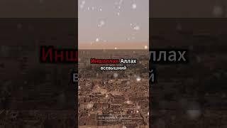 Учить и передавать Коран: благословенное деяние #УчитьКоран #ПередаватьКоран #БлагословенныеДеяния
