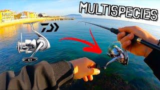 Five Different Fish Species with my NEW FAVOURITE REEL! Lure fishing in Italy [Daiwa Exist 2022]