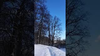 БЭЛЬ-"грудинка домашняя ..!!"