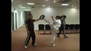 Emil Martirossian Practicing Unique JKD Power Kicking