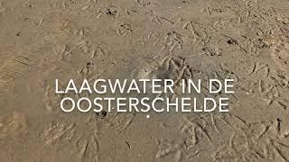 Laagwater in de Oosterschelde, Geopark Schelde Delta