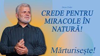 Mărturisește - Crede pentru miracole în natură! / Doru Cîrdei / 15.09.2024